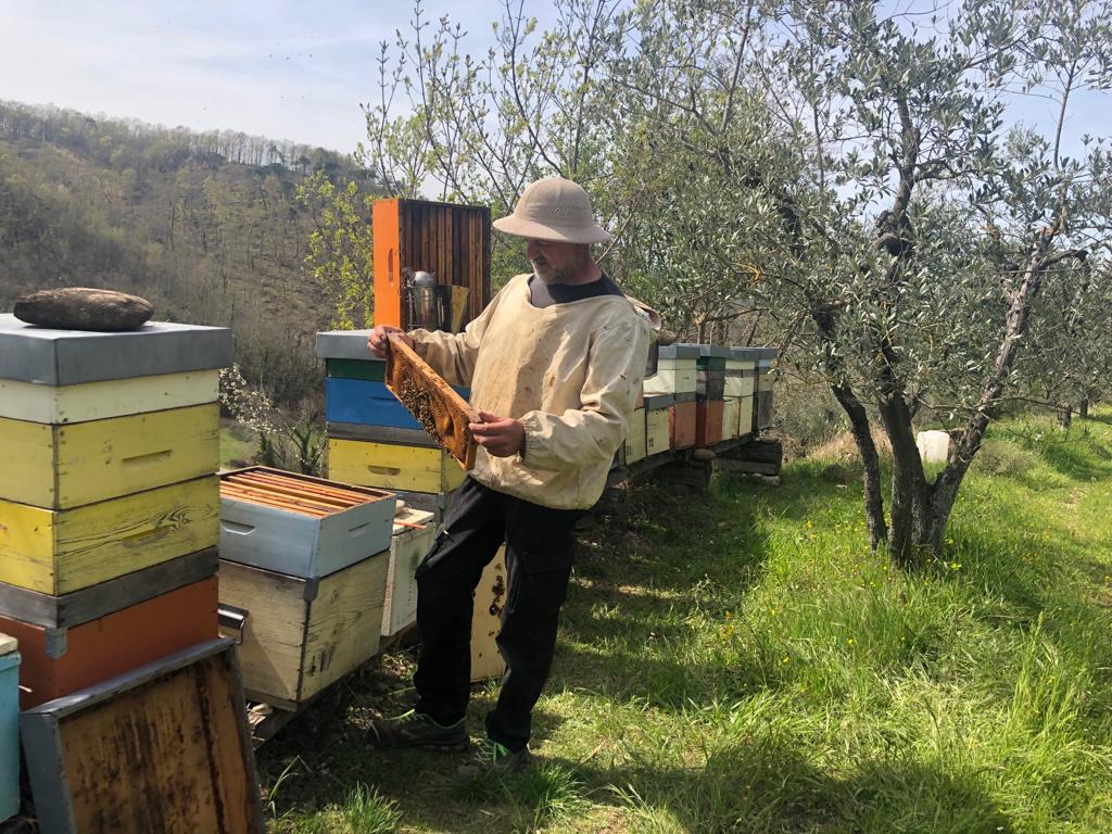 Foto 2 apicoltore - Piantiamo fiori