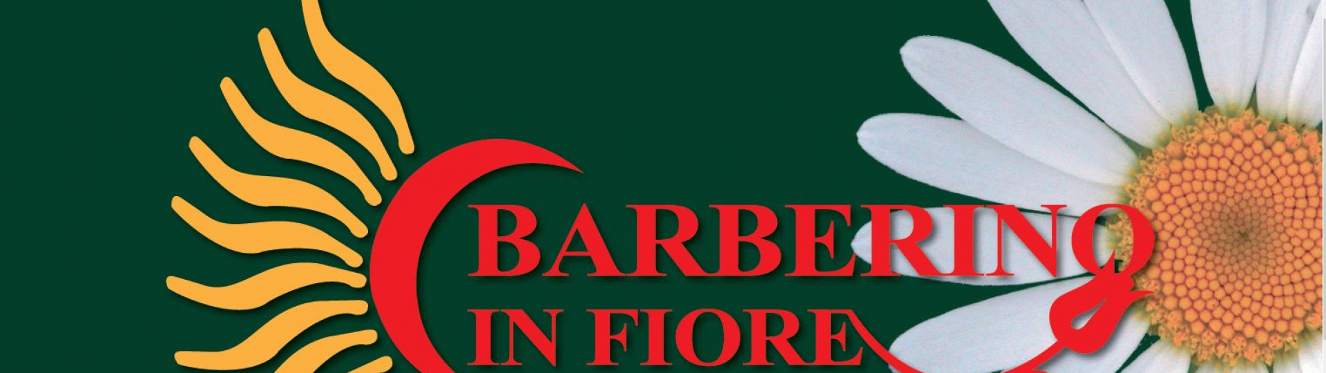 immagine logo evento Barberino in Fiore XV ed.