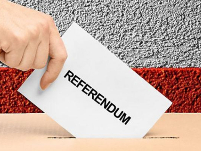 immagine referendum